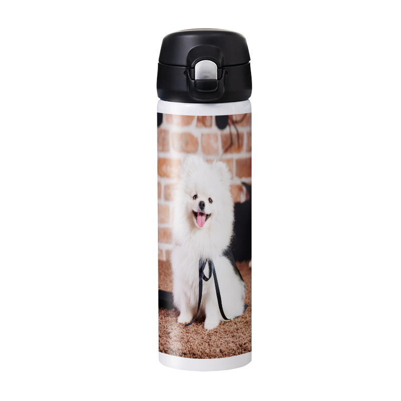 halloween-16 oz Thermal Water Bottle with Flip-Top Lid