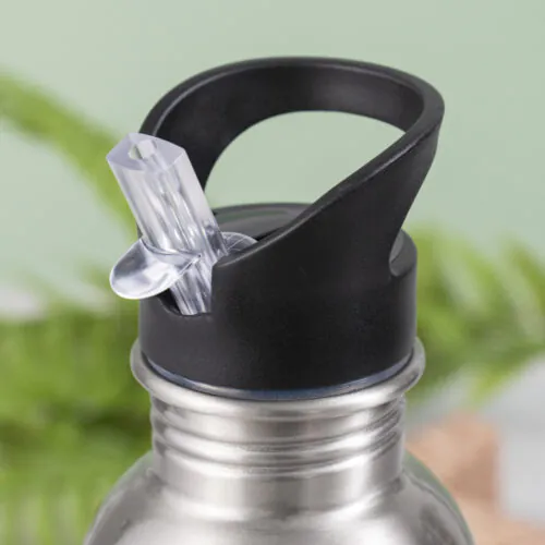 20 oz Stainless Steel Sports Water Bottle with Straw