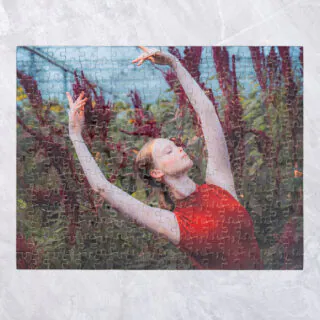 252 Piece Jigsaw Puzzle with Tin Box