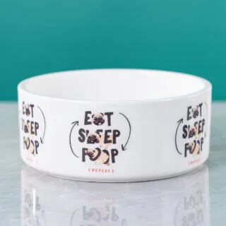 Customized Pet Dog Bowl
