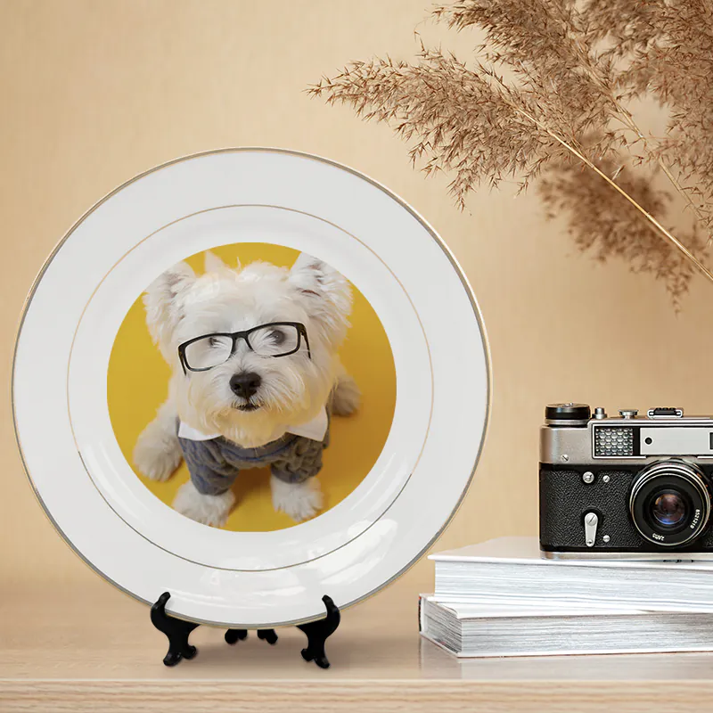 International Photography Day_Plate with Gold Trim